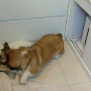 Meet your Posher, Ming chu